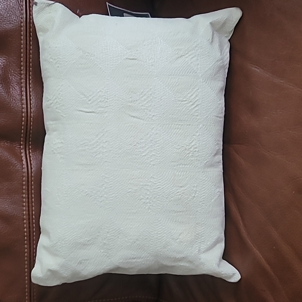 VERA WANG HOME Box Breakfast Throw Pillow FRETWORK 100% Cotton Down  12" X 16" - Picture 3 of 8